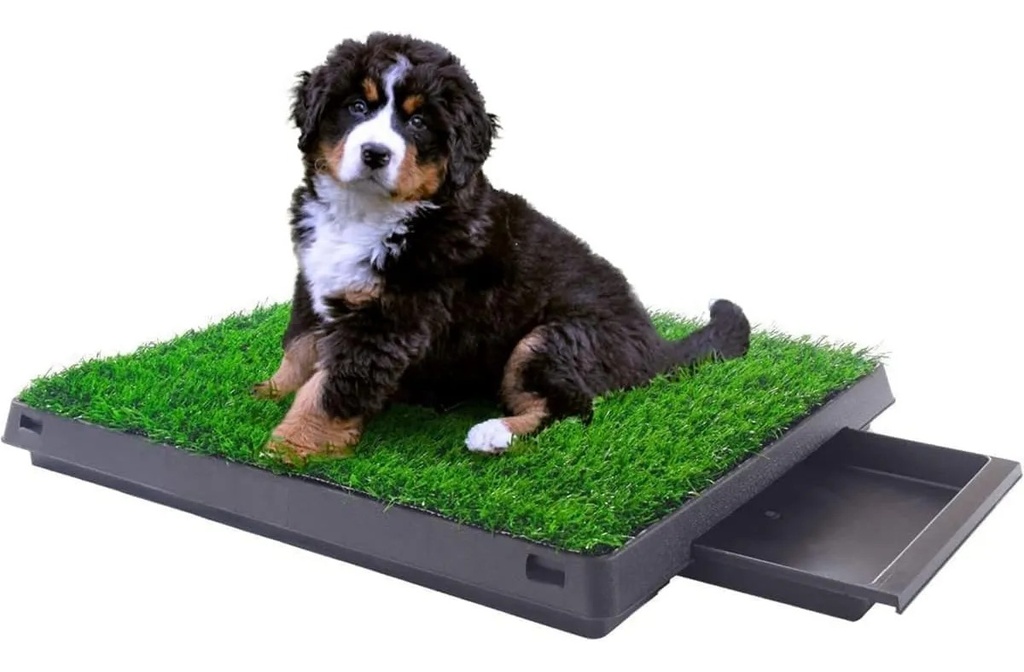 Baño Ecológico Para Mascotas 3 Piezas 51 X 63 Cm